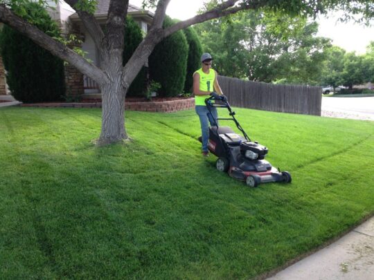 Lawn Service-Richardson TX Landscape Designs & Outdoor Living Areas-We offer Landscape Design, Outdoor Patios & Pergolas, Outdoor Living Spaces, Stonescapes, Residential & Commercial Landscaping, Irrigation Installation & Repairs, Drainage Systems, Landscape Lighting, Outdoor Living Spaces, Tree Service, Lawn Service, and more.