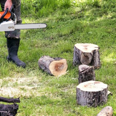 Tree Service-Richardson TX Landscape Designs & Outdoor Living Areas-We offer Landscape Design, Outdoor Patios & Pergolas, Outdoor Living Spaces, Stonescapes, Residential & Commercial Landscaping, Irrigation Installation & Repairs, Drainage Systems, Landscape Lighting, Outdoor Living Spaces, Tree Service, Lawn Service, and more. Tree Service-Richardson TX Landscape Designs & Outdoor Living Areas-We offer Landscape Design, Outdoor Patios & Pergolas, Outdoor Living Spaces, Stonescapes, Residential & Commercial Landscaping, Irrigation Installation & Repairs, Drainage Systems, Landscape Lighting, Outdoor Living Spaces, Tree Service, Lawn Service, and more.